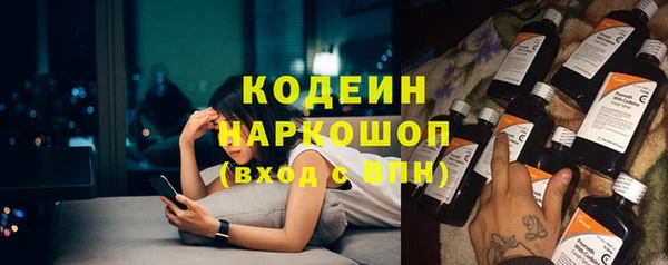 гашик Арсеньев
