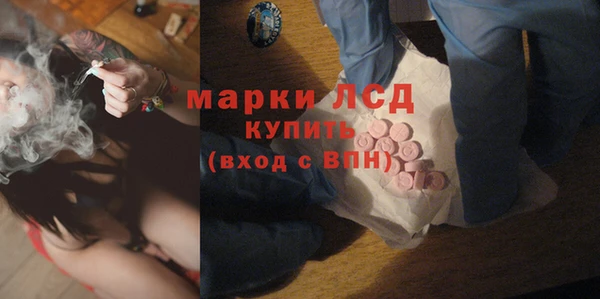гашик Арсеньев