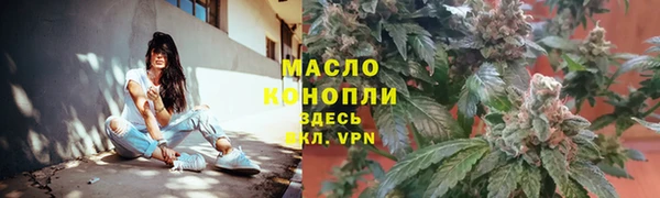 гашик Арсеньев