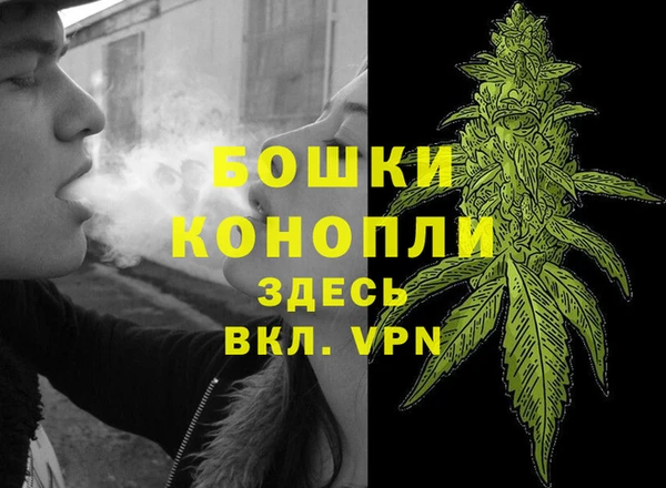 прущие грибы Краснотурьинск