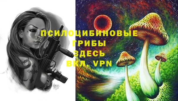винт Корсаков