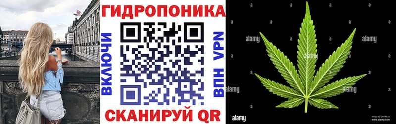 Конопля план  купить наркотики сайты  Артёмовский 